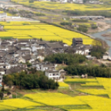中央纪委国家监委开展农村乱占耕地建房问题整治专项监督