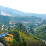 要将光明散作灯，不畏蜀道难攀登