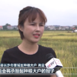 习近平总书记在基层代表座谈会上的重要讲话在各地引起热烈反响