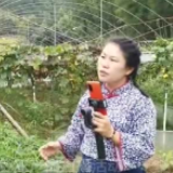 农产品销售新渠道 农民下田间直播带货