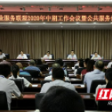 全国中小企业服务联盟2020年中期工作会议在长沙举行