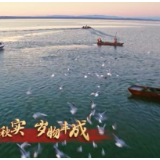 微视频丨奋进的中国