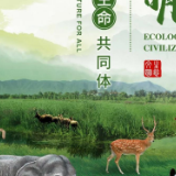 COP15大会主题海报正式发布