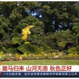 向日葵、什锦菊……各地景观扮靓国庆节 大街小巷氛围浓