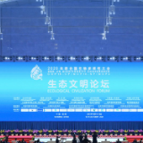 聚焦生物多样性大会｜从昆明出发，同心共建美丽的地球家园