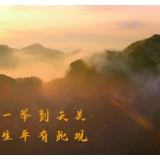 时政微视频丨瞰山东