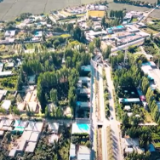 万人说新疆丨买买提：我明年要种5000亩地的番茄