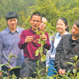 把论文写在田野大地上（人民眼·科技助力乡村振兴）