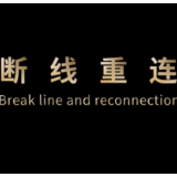 2021中国上海，世界经济正在断线重连