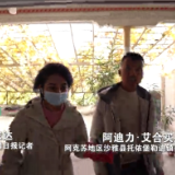 沙雅县棉农自豪说：“我家的日子跟墙上的《花开富贵》一个样”