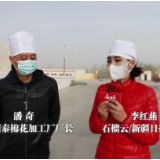 新疆国泰棉花加工厂厂长潘奇：新疆棉花不缺订单！