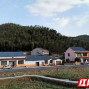 新春走基层丨桃江大华村建起了直播馆，拿个“全省第一”蛮韵味