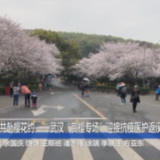 武汉“赏樱专场”迎接抗疫医护返汉