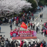 武大设专场迎援鄂医护赏樱:去年错过的武大樱花 今年来兑现