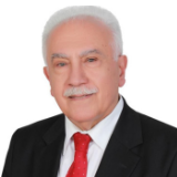 【外眼看两会】土耳其爱国党主席:中国的发展有利于世界形成更加友好、公正、共享的新格局