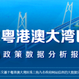 数说粤港澳大湾区政策数据分析报告