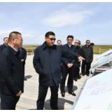 鱼鸟共生、山青湖晏，青海向总书记“交卷”