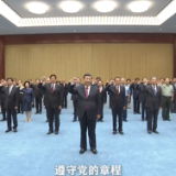 视频丨习近平带领党员领导同志重温入党誓词