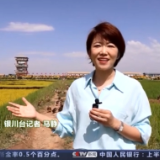 走进乡村看小康丨稻田里有位“鸭司令” 四十里店村找到致富新路径