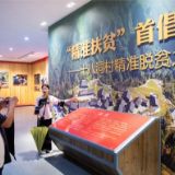 韩国专家谈中国全面建成小康社会：中国政治优势凝聚上下同心之力