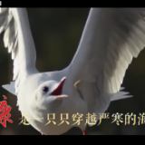 【人民记忆：百年百城】昆明奔小康