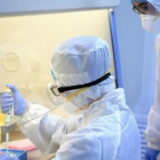 中共湖南省委 湖南省人民政府关于加强公共卫生体系建设的若干意见
