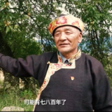 习近平西藏行丨桃花致富源 幸福新生活——走进林芝镇嘎拉村