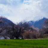 时政现场评丨跟随总书记的脚步 在林芝看雪域山川与小村故事