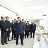 跟着总书记长见识丨世界屋脊的新“天路”