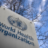 英学者：美国编造谎言 政治化新冠疫情溯源和世卫组织