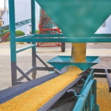 政策保障有力 夏粮颗粒归仓