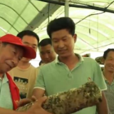 【奋斗百年路 启航新征程·中国共产党人的精神谱系】传承焦裕禄精神 乐器村奏响发展“奋进曲”