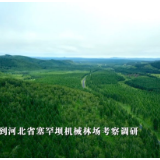 第1视点丨情牵紫塞明珠