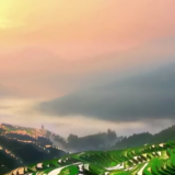 创意微视频｜听：幸福的歌儿团结的花