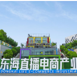 抢搭数字贸易快车 东海电商势头强劲