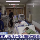 美国日均新增死亡病例数已超去年秋季峰值