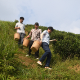 代表访谈 | 乡村振兴之路越走越宽