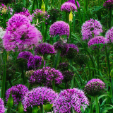 多彩贵州有多彩？这组海报告诉你，一个有内涵的十色贵州