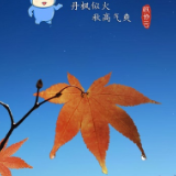云宝早自习 | 市场监管总局发布食品生产许可审查新规