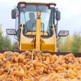 新疆 在希望的田野上 秋粮收获已过九成 玉米大豆等再获丰收