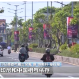 总台专访丨印尼媒体人士：期待中国分享更多发展经验