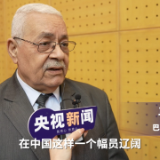 外眼看中国：通往现代化的道路不止一条