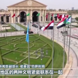 阿拉伯国家人士高度评价习近平主席在首届中国－阿拉伯国家峰会和中国－海湾阿拉伯国家合作委员会峰会上的主旨讲话