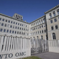 【海外网年终系列评论④】世界经济复苏需各国“拉手”“拆墙”