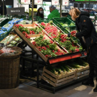 三重困境中欧洲经济出路难寻