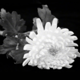 全军官兵深切悼念江泽民同志