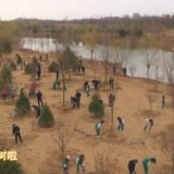 时政Vlog丨播种春天!你不知种下小树苗的一刻有多治愈