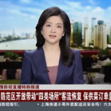 视频｜金山：防范区开放带动“四类场所”客流恢复 保供菜订单量下降