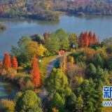 贵州：优良生态环境成为人民群众“幸福增长点”