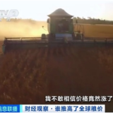 多国大批粮食变燃料,谁提高了全球粮价?